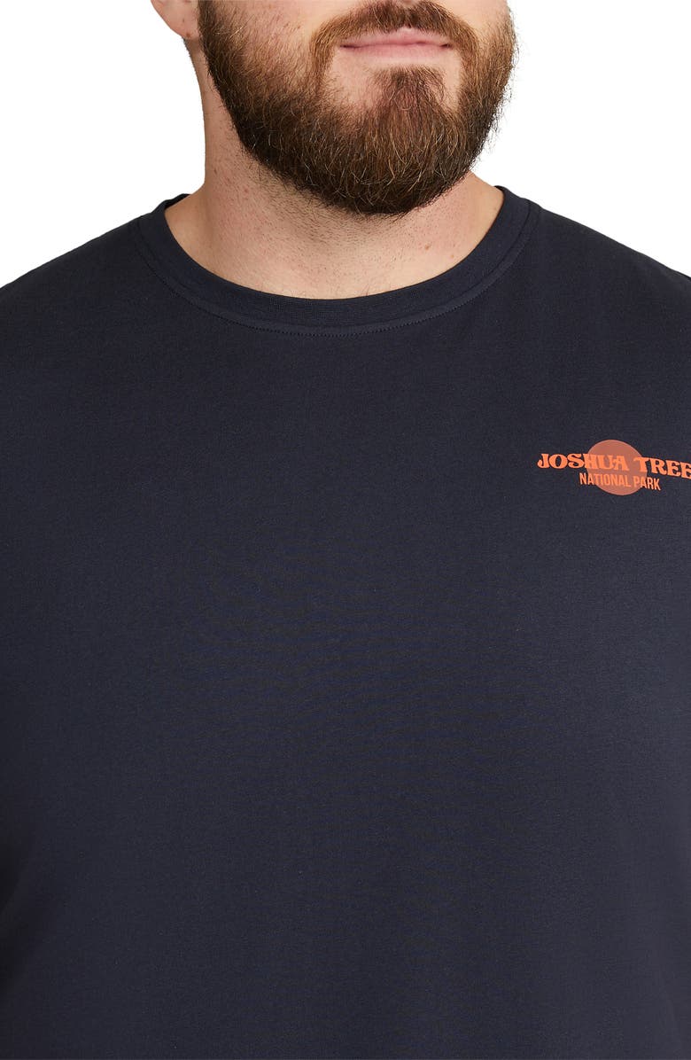 Johnny Bigg Joshua Tree Organic Cotton Graphic T-Shirt, Alternate, color, 