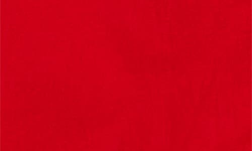 Ted Baker Box Pleat Tie Belt Cotton Maxi Shirtdress In Red