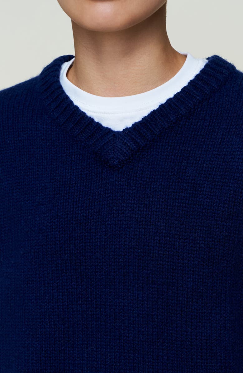 Guizio Joni Cashmere V Neck Jumper, Alternate, color, Navy