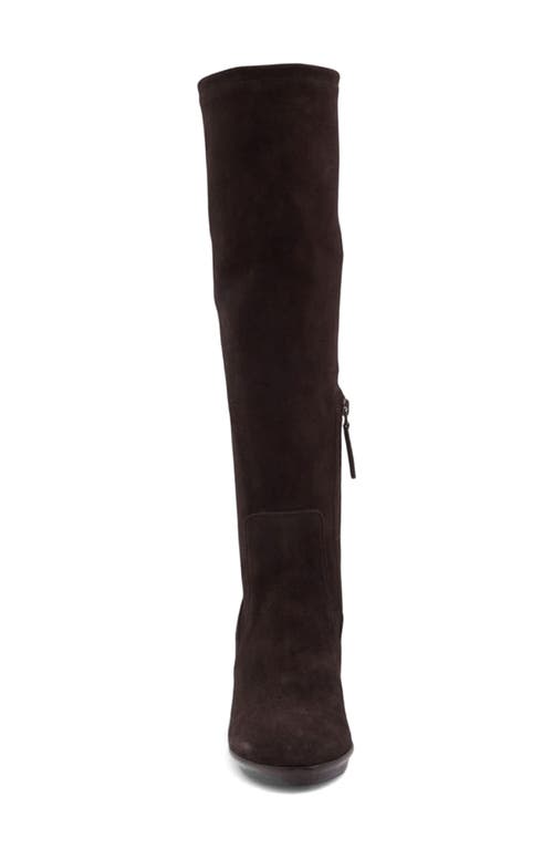 Aquatalia Rhumba Knee High Boot In Brown