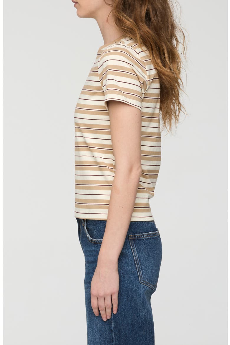 Alba Cotton T-Shirt, Alternate, color, TOASTED WHEAT STRIPE