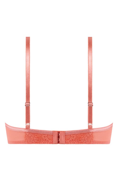 Shop Hunkemoller Hunkemöller Robijn Strappy Lace Underwire Bra In Lantana