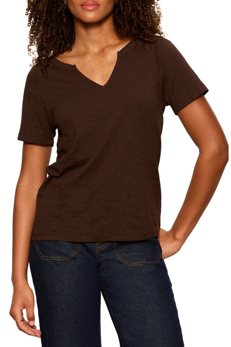 Notch V-Neck Cotton Blend T-Shirt, Main, color, RICH SOIL BROWN