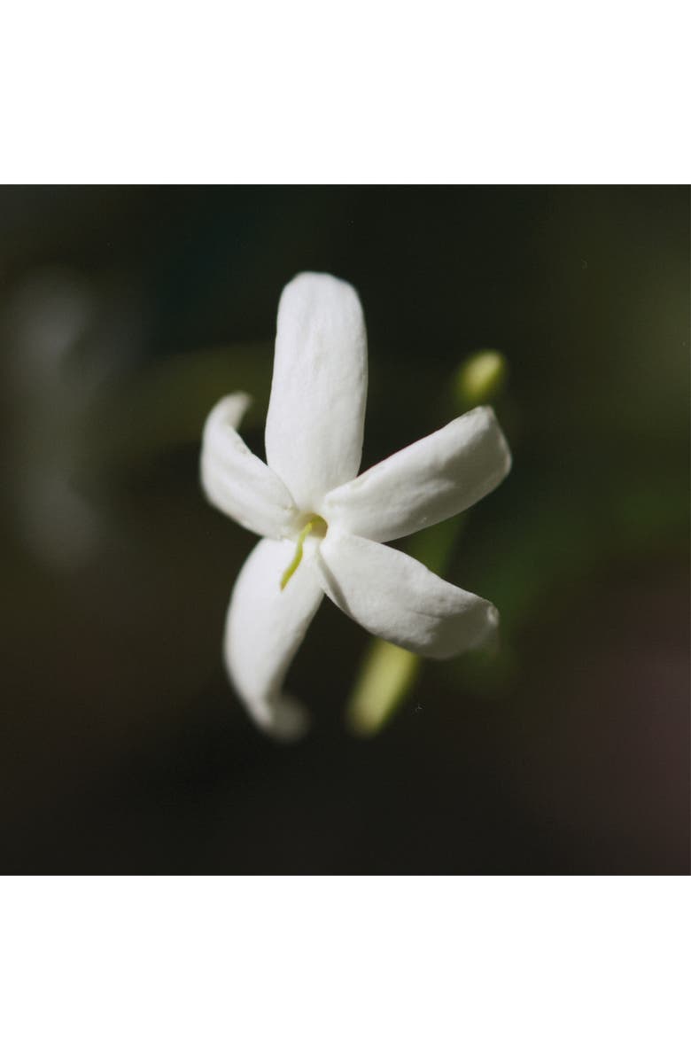 Chloé Nomade Naturelle Eau de Parfum, Alternate, color, 