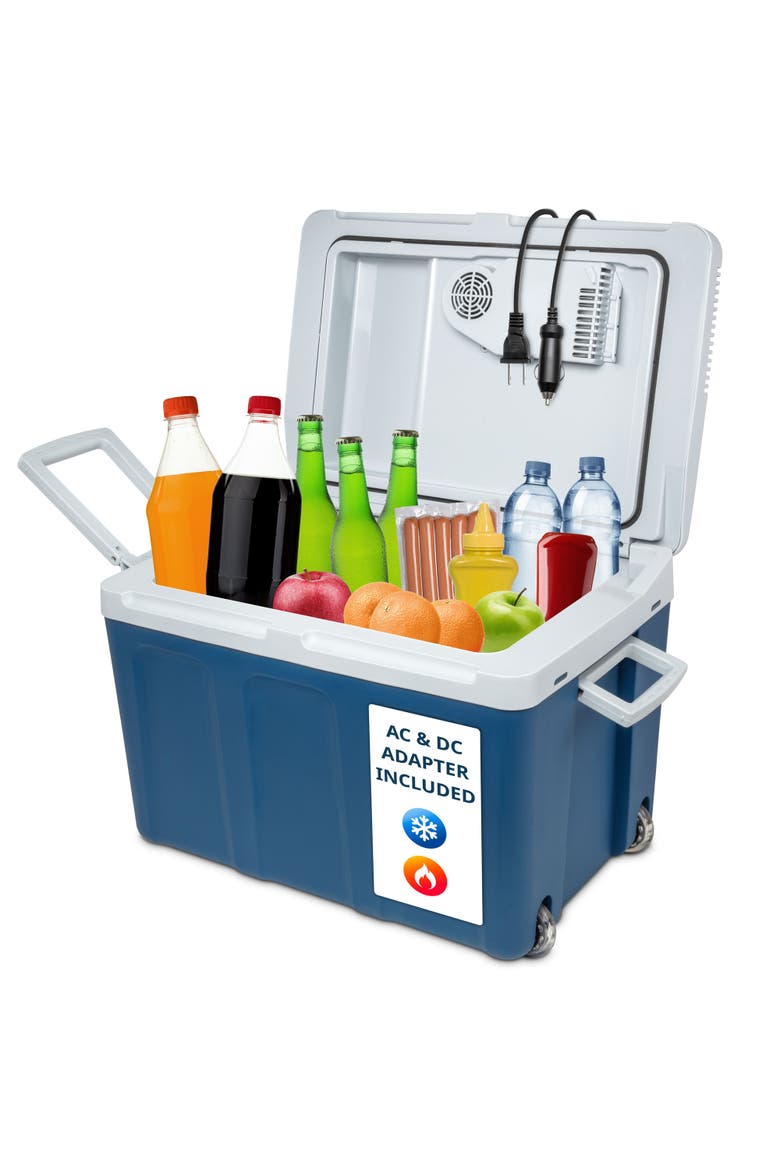 Electric Cooler & Warmer, Main, color, Blue