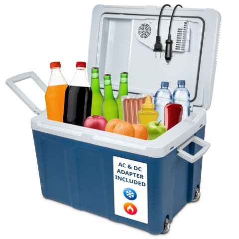Electric Cooler & Warmer (45L)