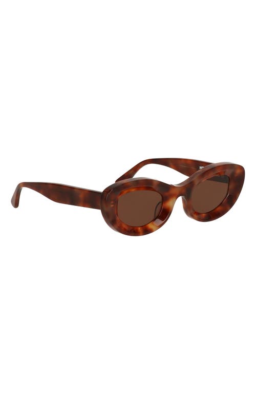 Cult Gaia X Thierry Lasry Jazz 47mm Oval Sunglasses In Brown