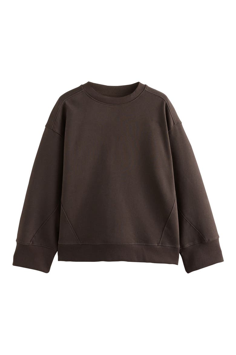 Crewneck Sweatshirt, Alternate, color, BROWN