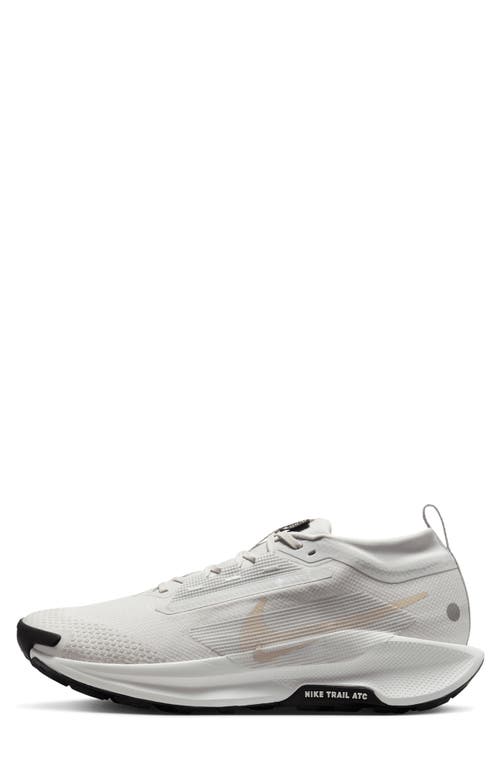 Nike Pegasus Trail 5 Gore-tex® Waterproof Running Shoe In Multi