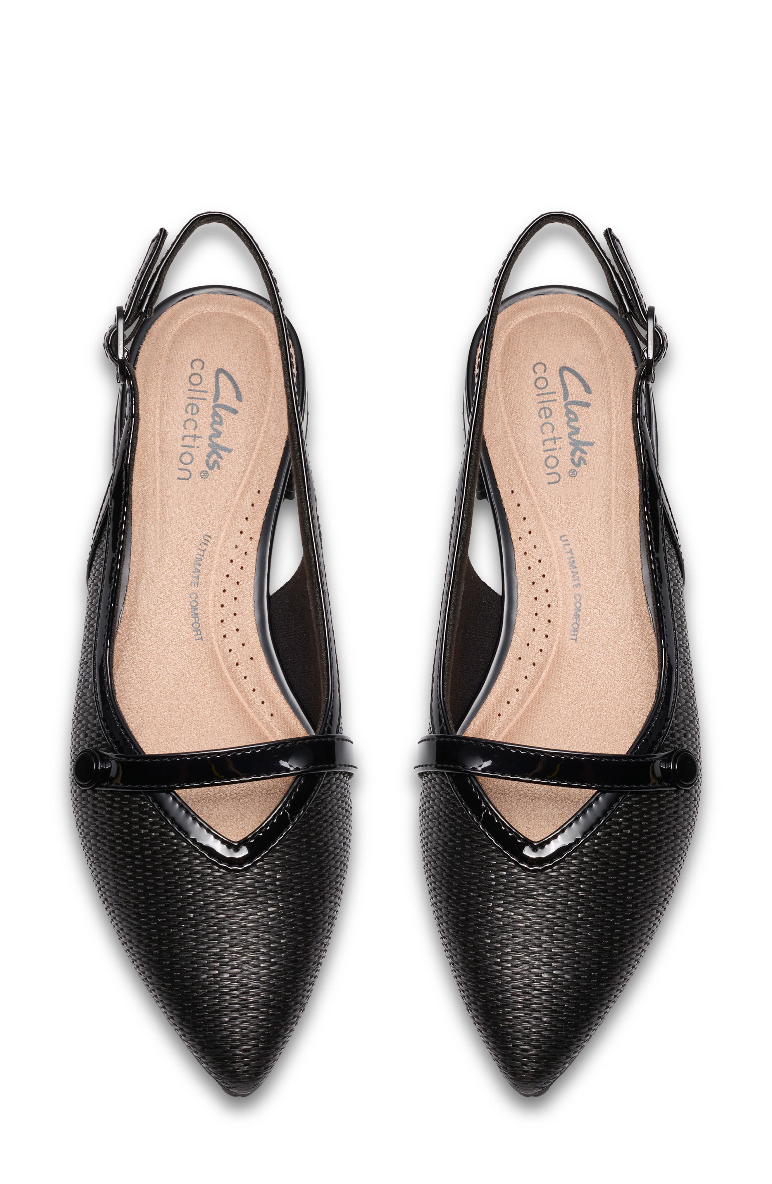 Natalyn Pointed Toe Slingback Flat, Alternate, color, BLACK RAFFIA