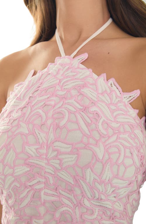 Endless Rose Halter Neck Guipure Lace Minidress In White/pink