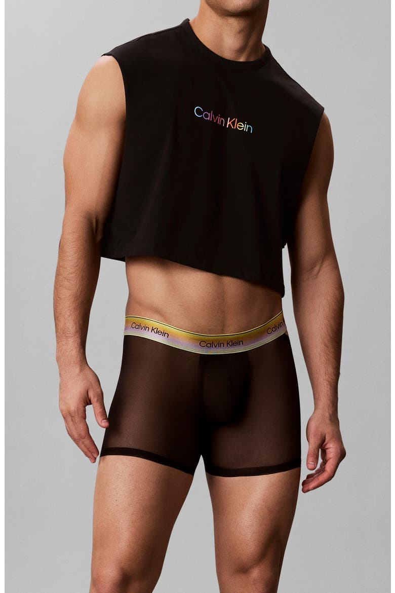 Pride Sheer Mesh Boxer Briefs, Main, color, BLACK
