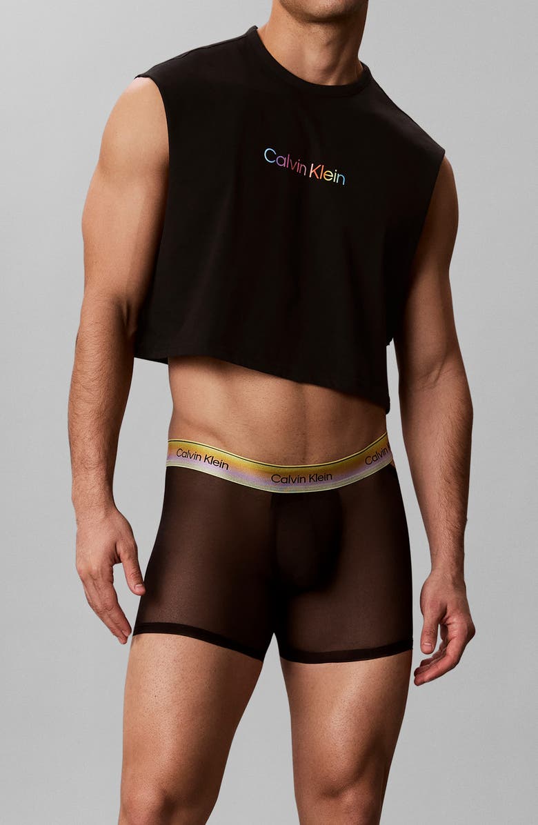 Calvin Klein Pride Sheer Mesh Boxer Briefs, Main, color, Black
