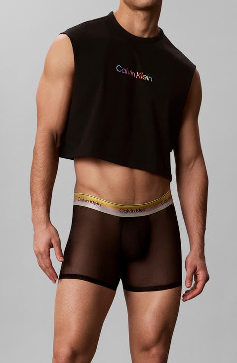 Pride Sheer Mesh Boxer Briefs