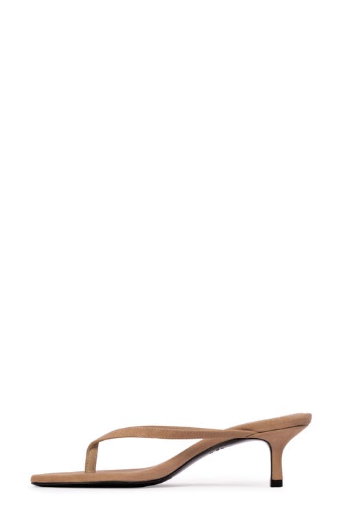 Black Suede Studio Tash Suede Thong Slide Sandals In Sand Suede