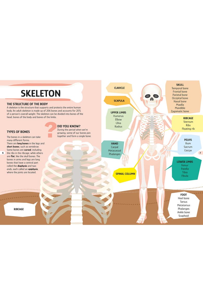 Travel, Learn and Explore The Human Body Puzzle and Book Set, Alternate, color, Multicolored