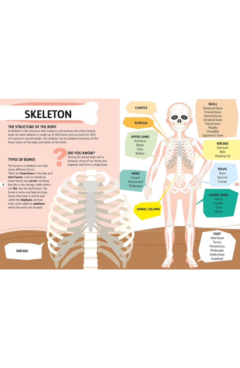 Sassi Travel, Learn and Explore The Human Body Puzzle and Book Set, Alternate, color, Multicolored