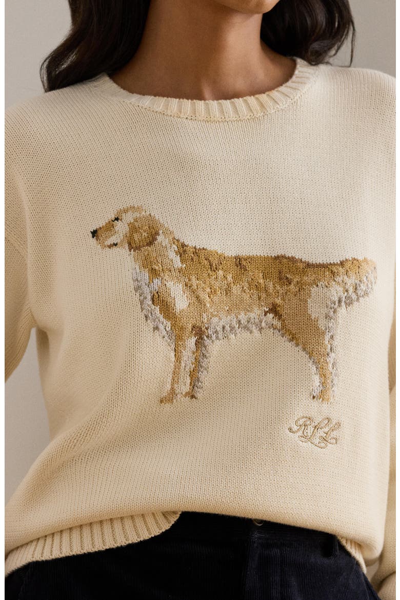 Intarsia Golden Retriever Cotton Sweater, Alternate, color, MASCARPONE CREAM