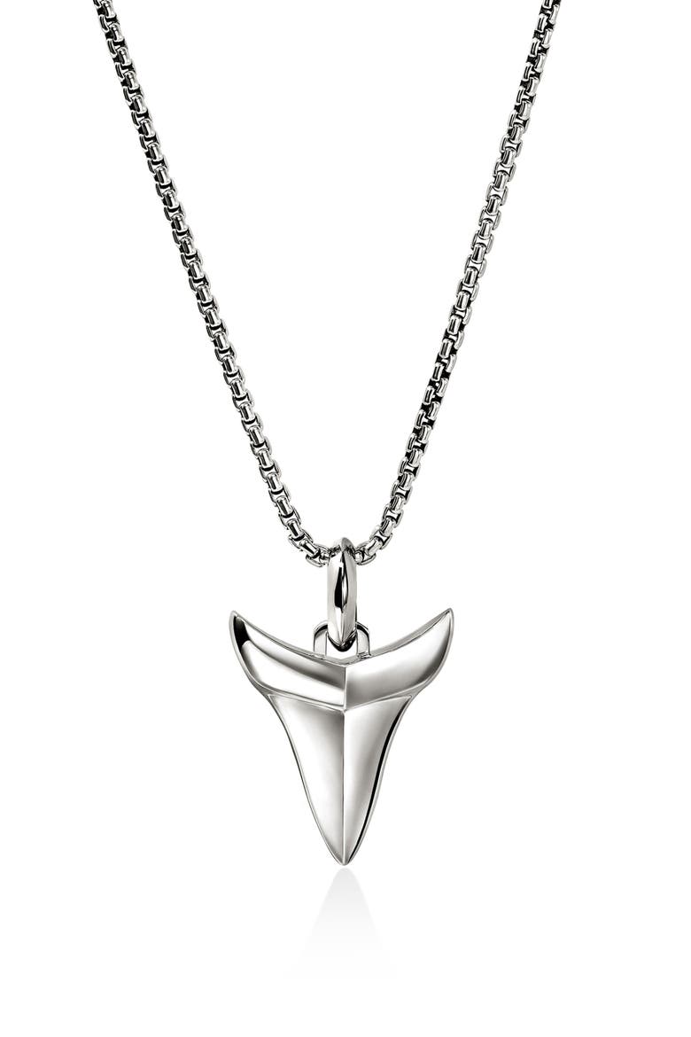 Modern Talismans Pendant Necklace, Main, color, SILVER