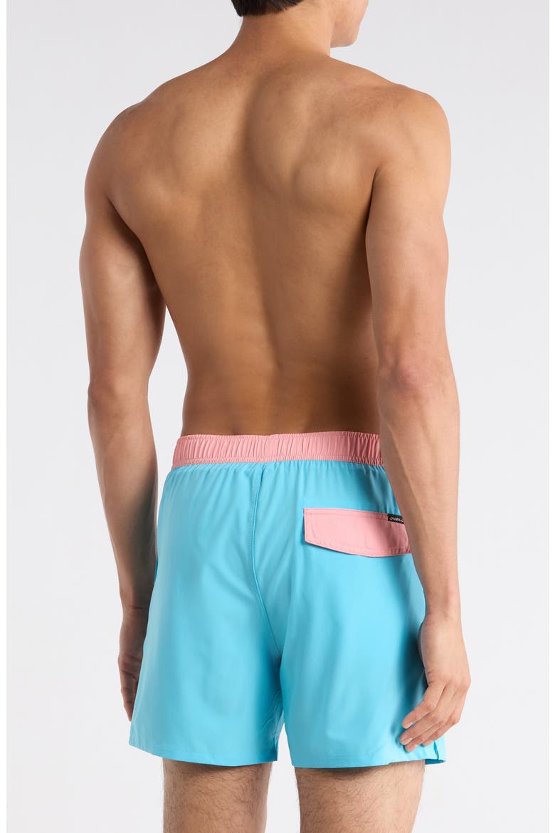 Hermosa Volley Swim Trunks, Alternate, color, AQUARIUS