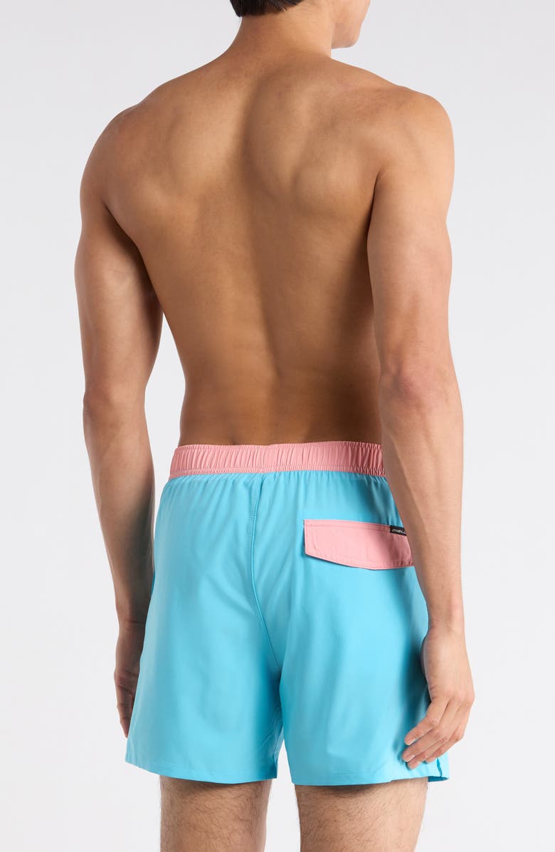 O'Neill Hermosa Volley Swim Trunks, Alternate, color, Aquarius