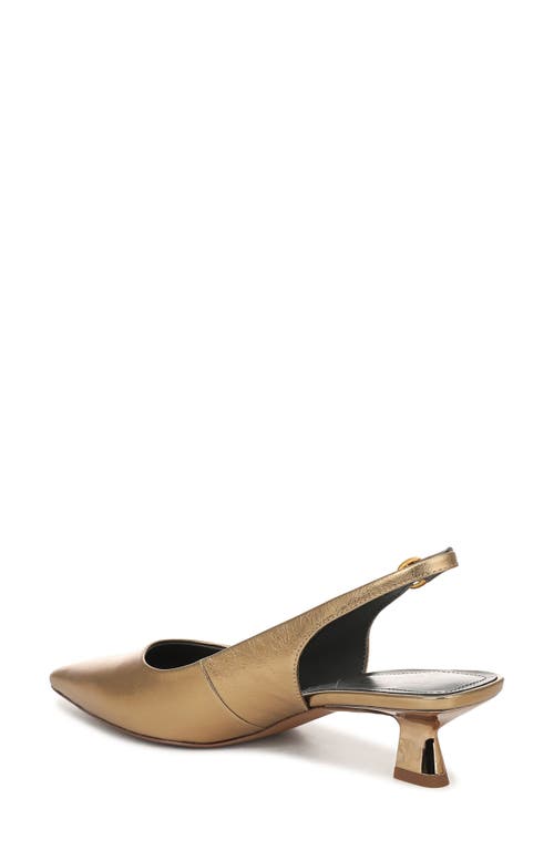 Franco Sarto Jaden Pointed Toe Slingback Pump In Brown