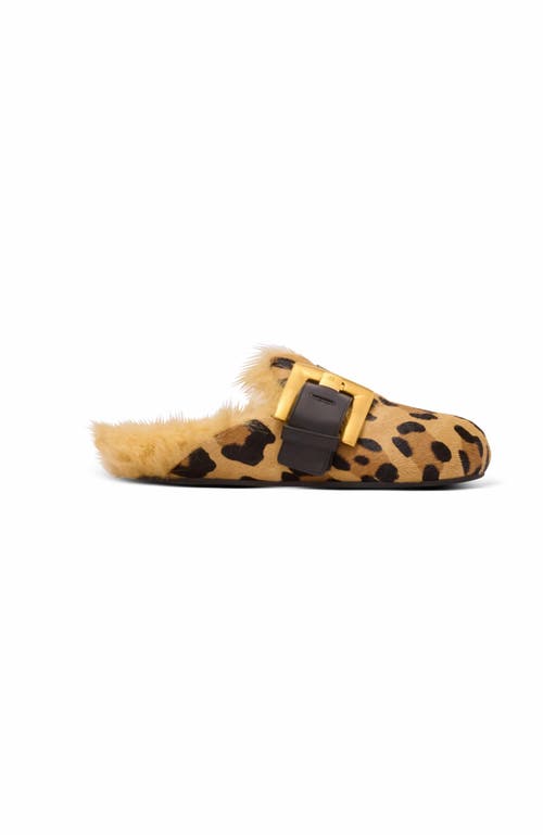 Balmain Anthem Leopard Print Ponyskin Leather And Faux Fur Mules In Brown