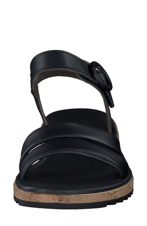 Paul Green Teegan Sandal In Black