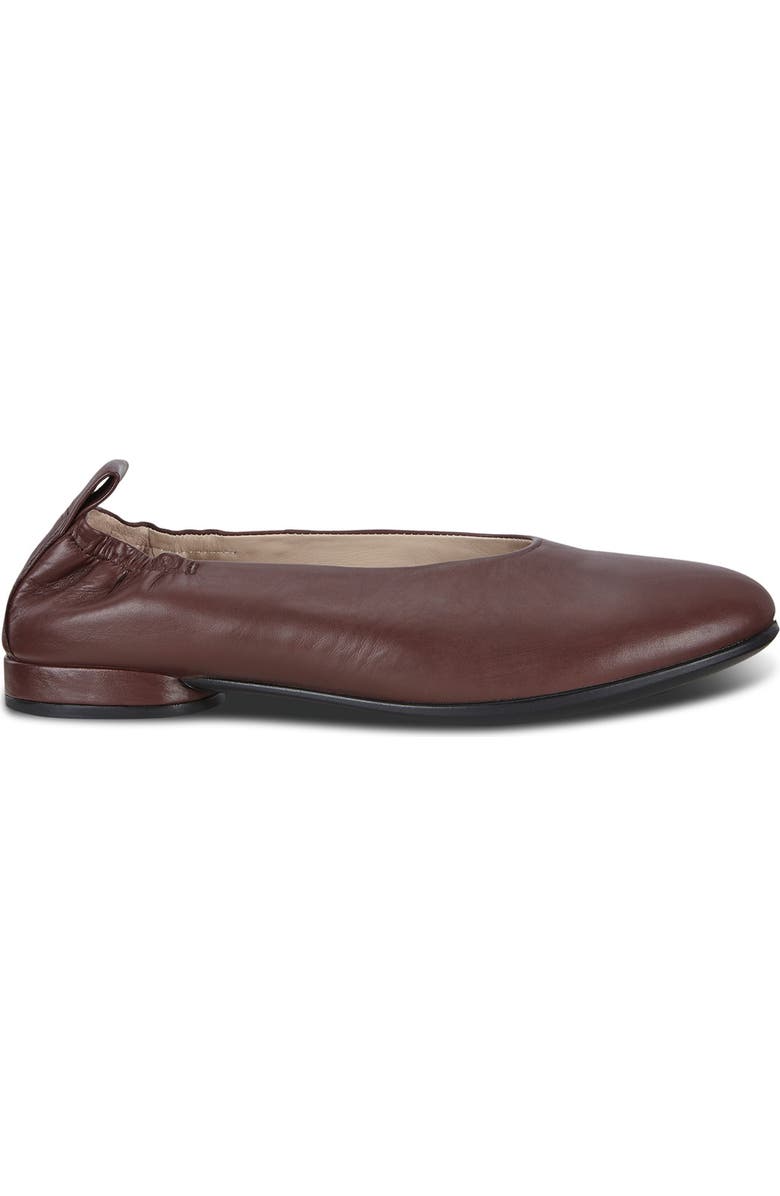 ECCO Anine Ballet Flat, Alternate, color,