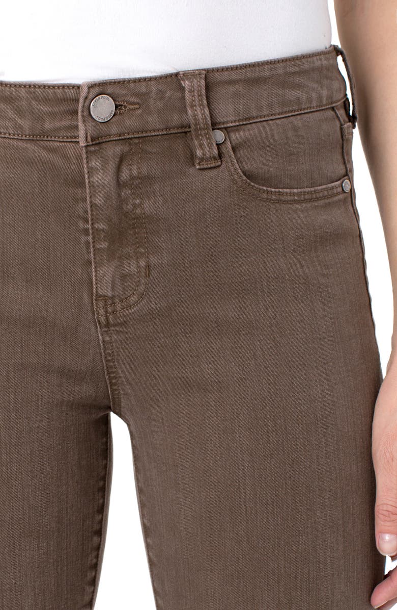 Liverpool Abby Skinny Pants, Alternate, color, 