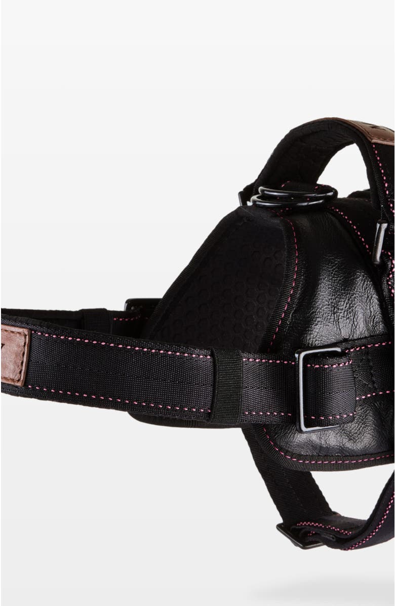 Masky Signature Leather Dog Harness, Alternate, color, Black
