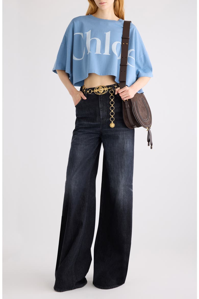 Oversize Signature Logo Crop Graphic T-Shirt, Alternate, color, AIRY BLUE
