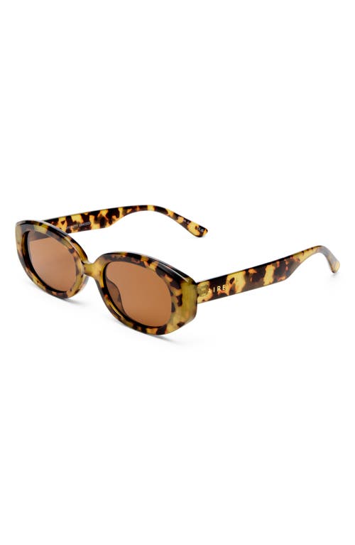Aire Affinity 52mm Oval Sunglasses In Brown