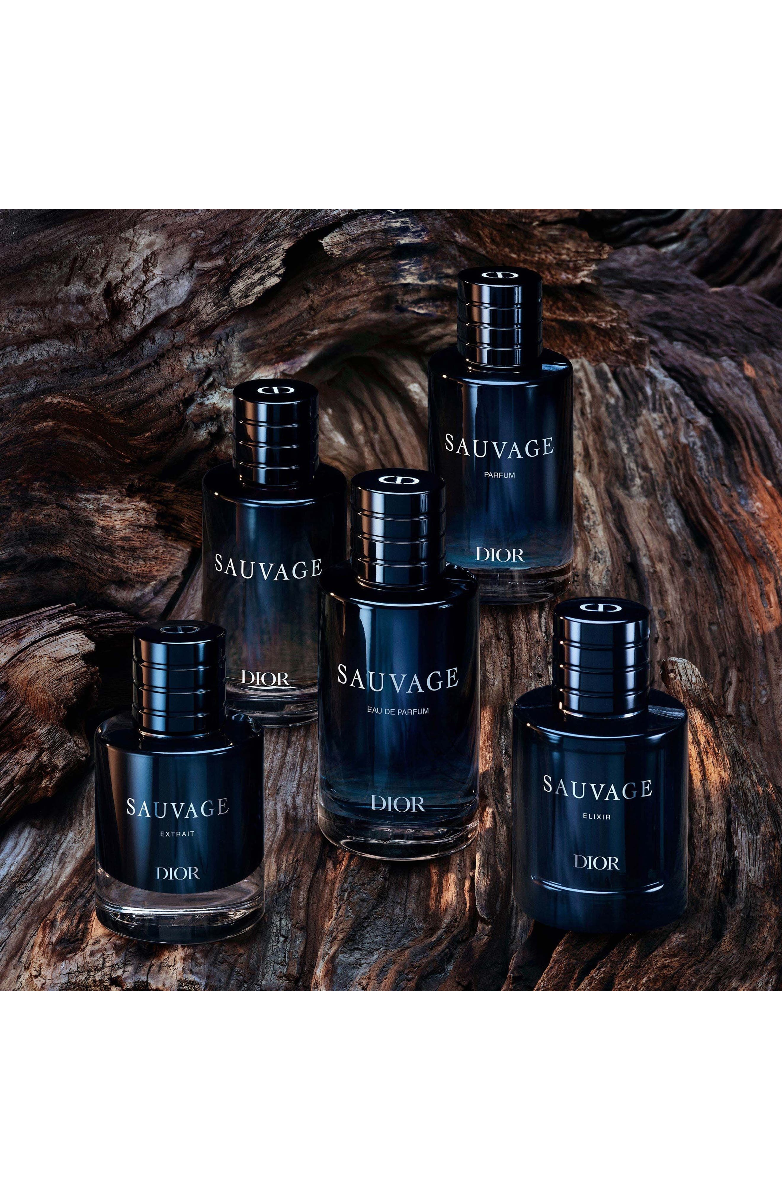 DIOR Sauvage Elixir Fragrance (Men) | Nordstrom