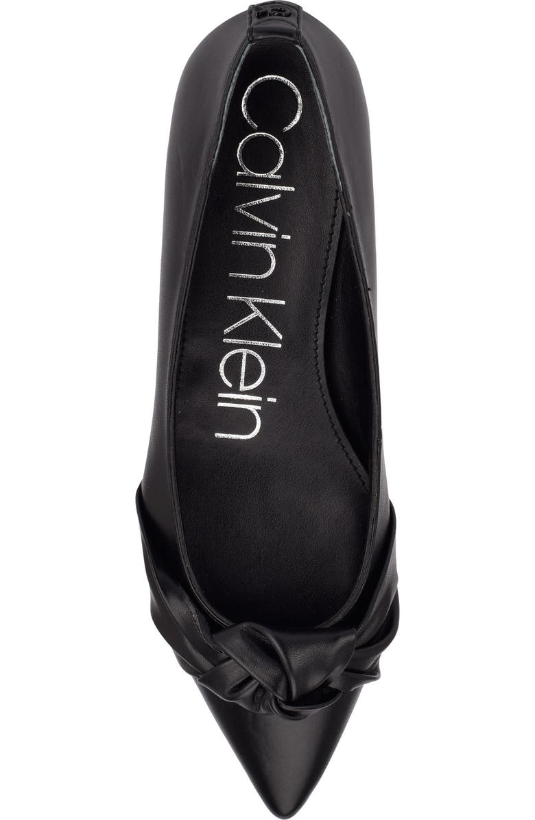 Calvin Klein Kendy Pointed Toe Flat, Alternate, color,