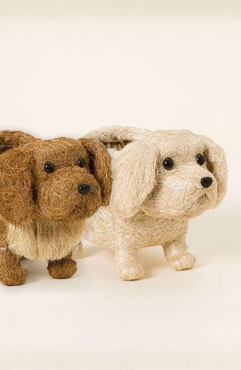 LIKHA White Labrador Handwoven Planter, Alternate, color, White