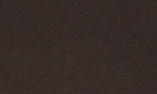 Allsaints Panthera Pippa Sweatshirt In Washed Black