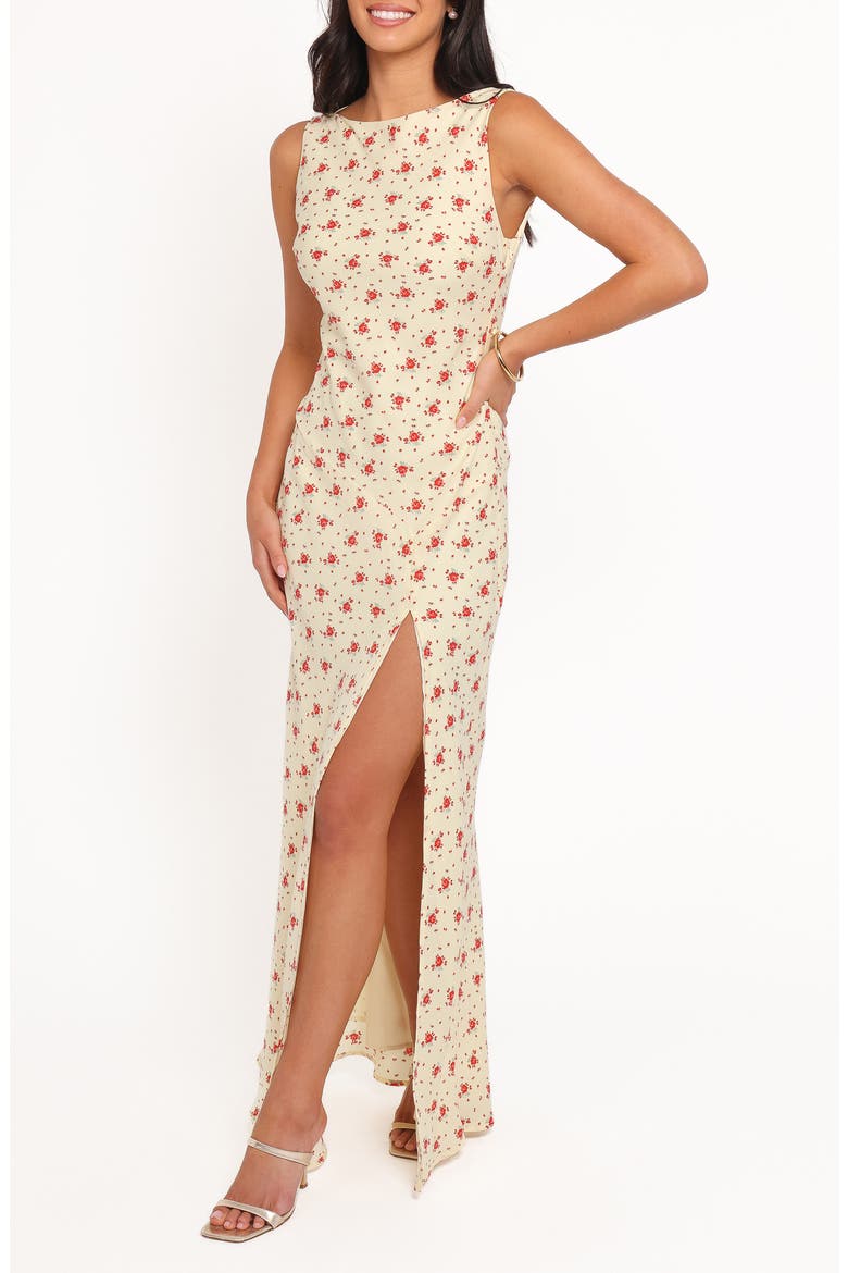 Alima Sleeveless Maxi Dress, Main, color, YELLOW FLORAL