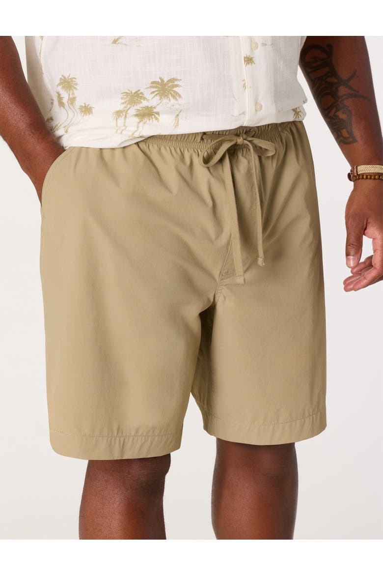 Big & Tall Pull-On Performance Stretch Shorts, Alternate, color, CORIANDER