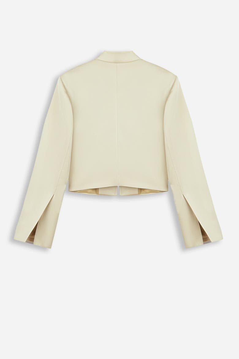Embroidered Cropped Jacket, Alternate, color, Gold
