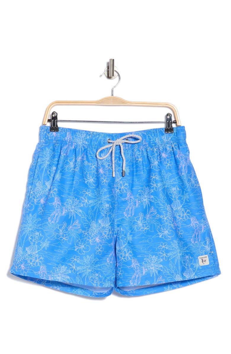 Vintage Summer Volley Swim Shorts, Alternate, color, Blue