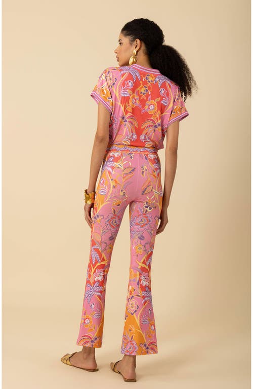 Hale Bob Kenna Jersey Flared Pant In Pink