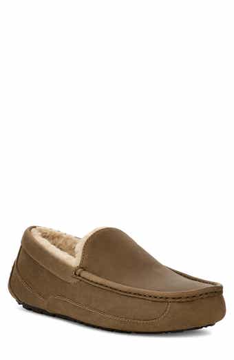 Mens ugg ascot slippers shop