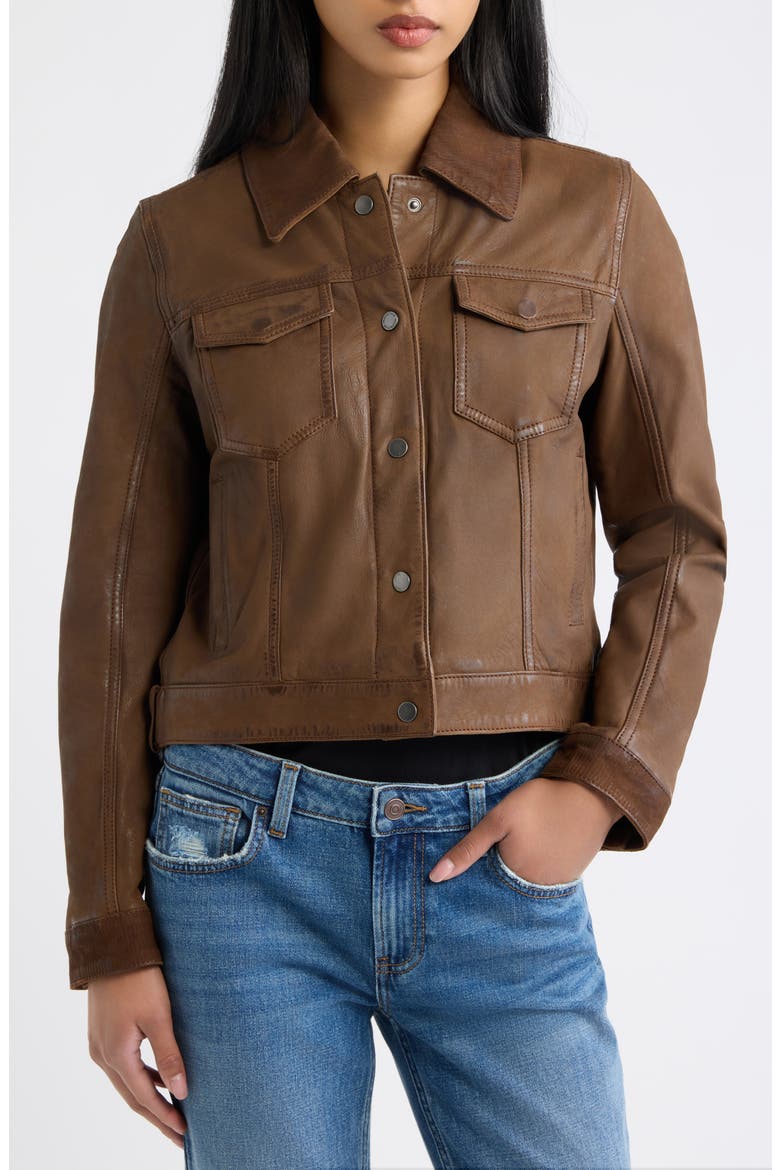 Klara Leather Jacket, Alternate, color, DARK WHISKEY