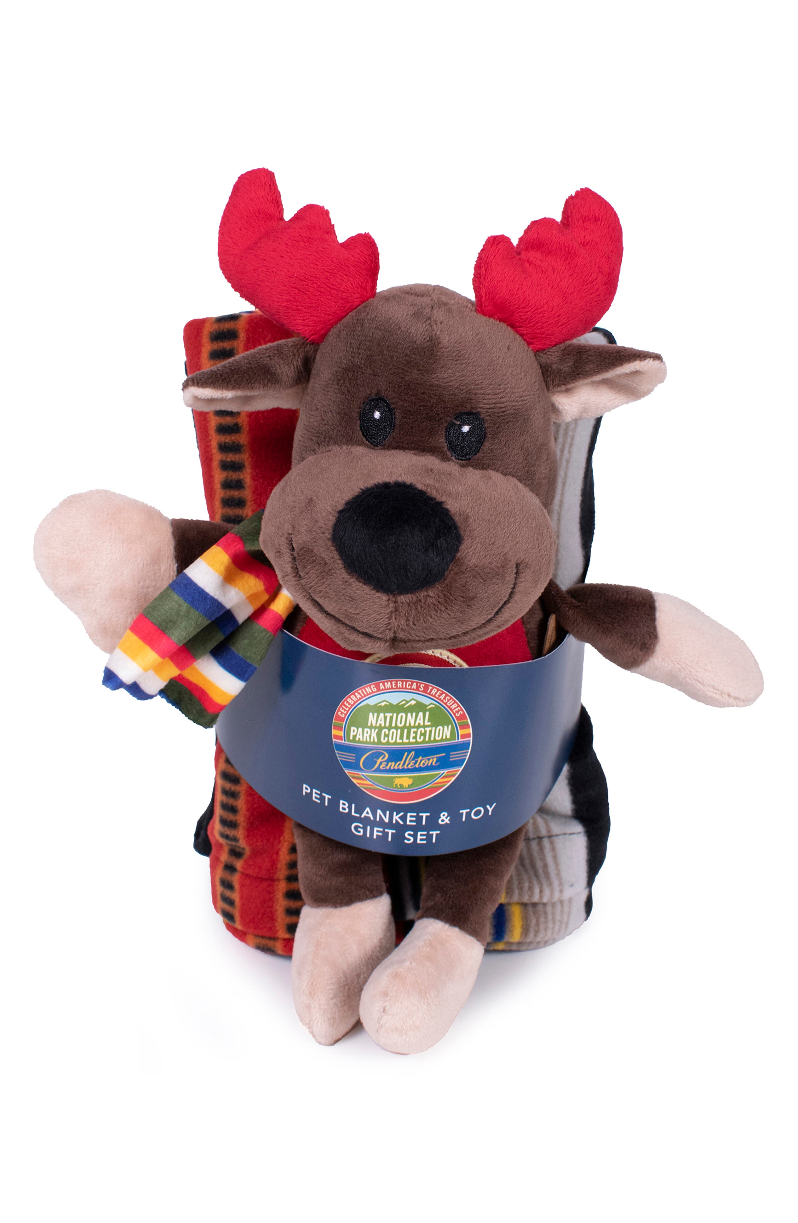ACADIA MOOSE