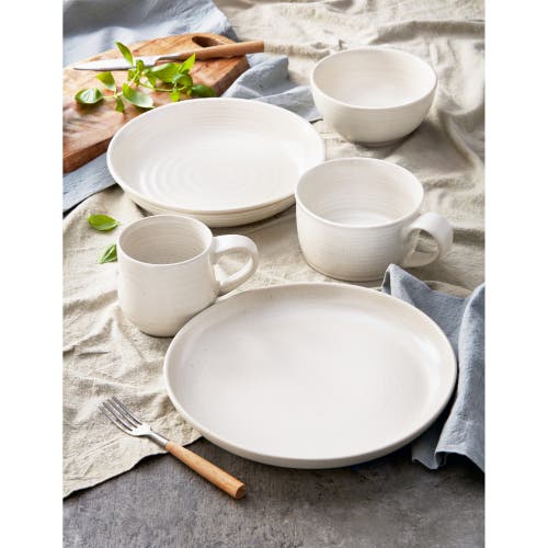 Tag Loft Speckled Reactive Glaze Stoneware Dinner Plate Matte White In Neutral
