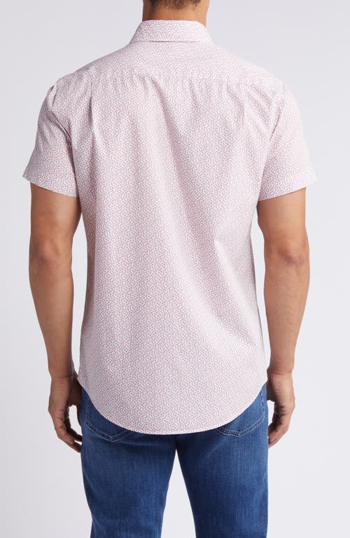 Rodd & Gunn Grassy Hills Short Sleeve Button-up Shirt In Rosewater