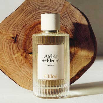 Chloé Atelier des Fleurs Cedrus Eau de Parfum | Nordstrom