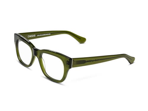 Caddis Miklos | Reading Glasses