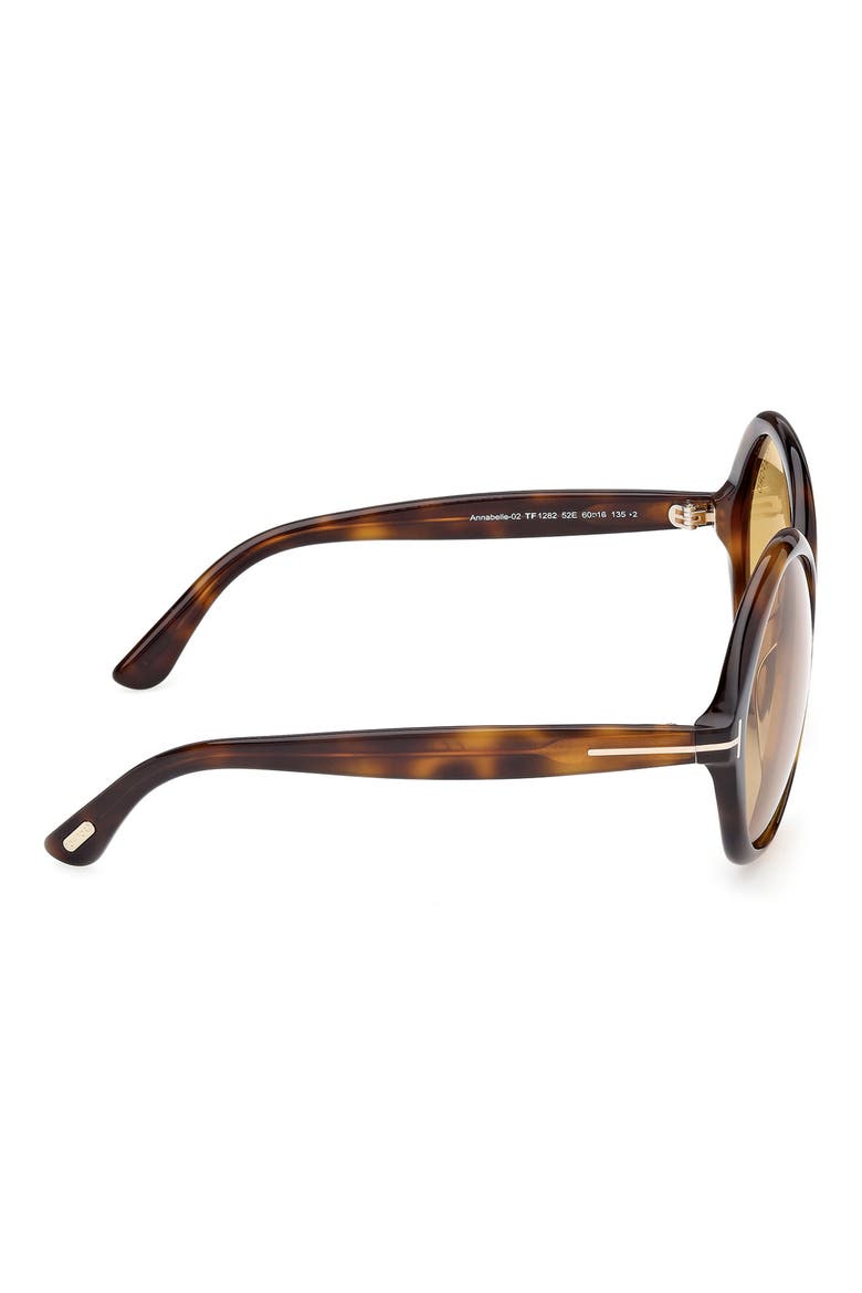 Annabelle 60mm Gradient Round Sunglasses, Alternate, color, SHINY DARK HAVANA/ ECO/ VICUNA
